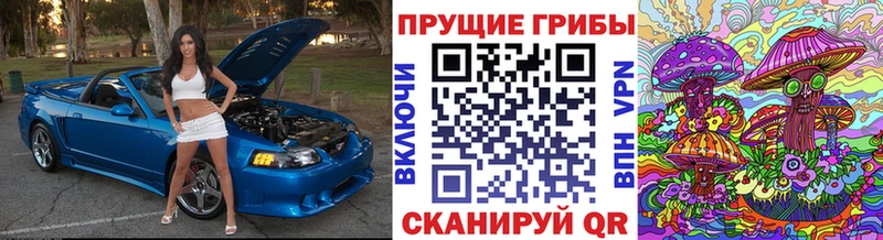 Галлюциногенные грибы GOLDEN TEACHER  купить закладку  Красный Холм 